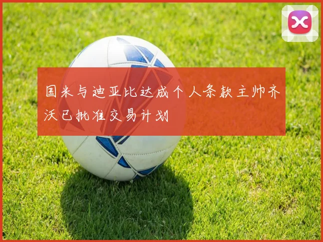 国米与迪亚比达成个人条款主帅齐沃已批准交易计划