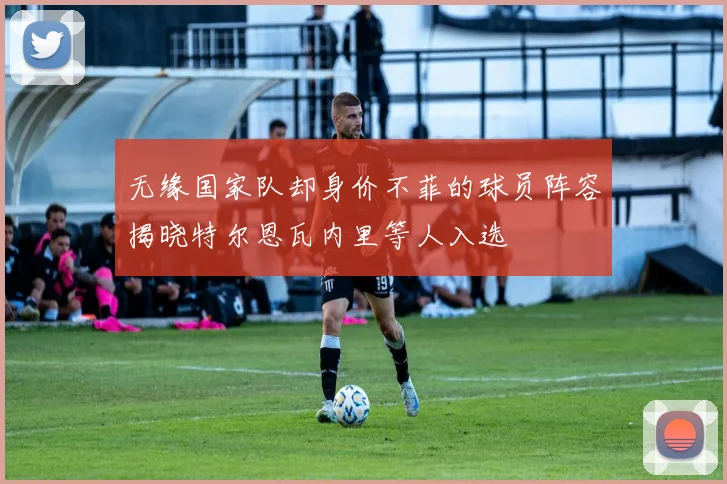 无缘国家队却身价不菲的球员阵容揭晓特尔恩瓦内里等人入选